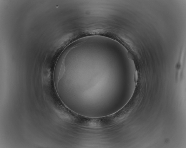 X0000091590308200708201235