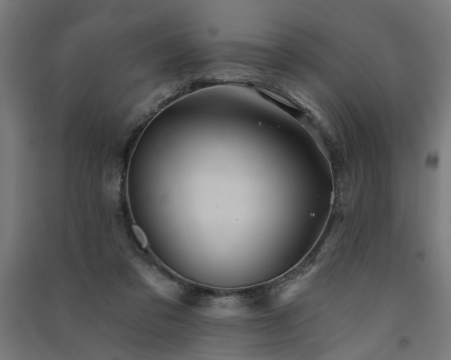 X0000091590309200708201235
