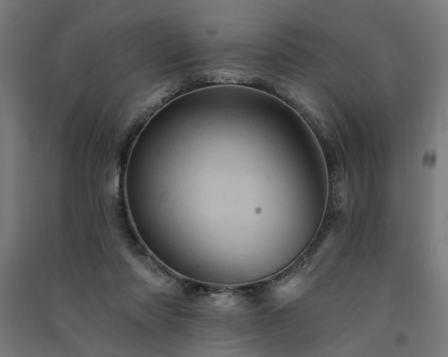 X0000091590310200708201235