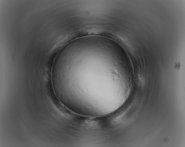 X0000091590311200708201235