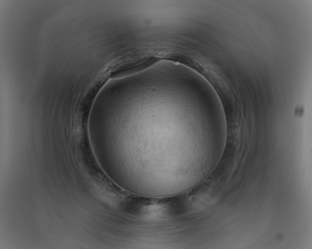 X0000091590312200708201235
