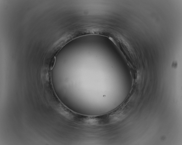 X0000091590313200708201235