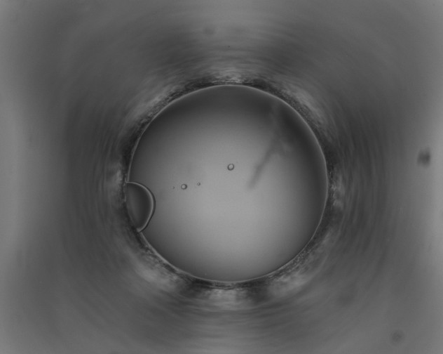 X0000091590314200708201235
