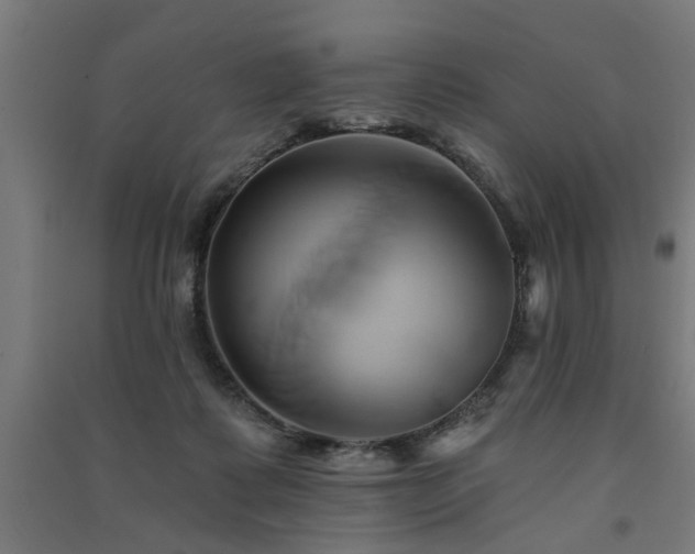 X0000091590315200708201235