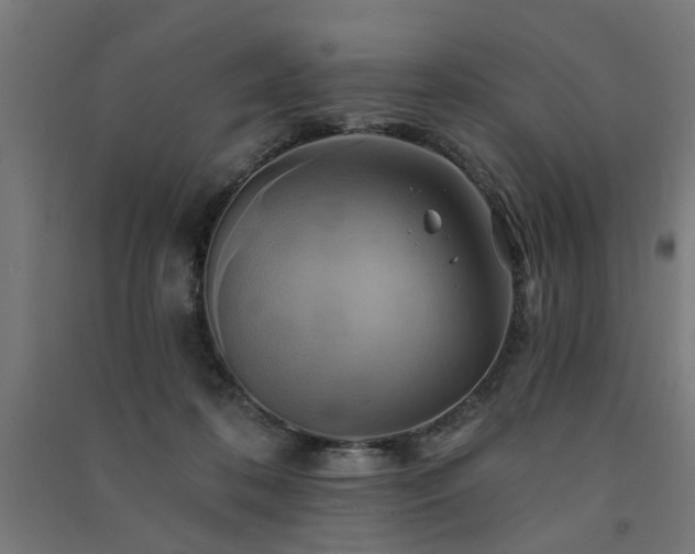X0000091590316200708201235