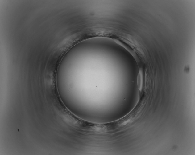 X0000091590317200708201235