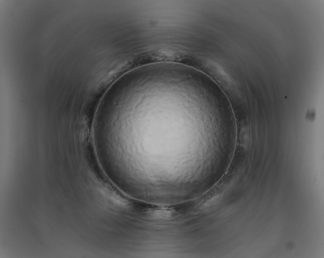 X0000091590318200708201235