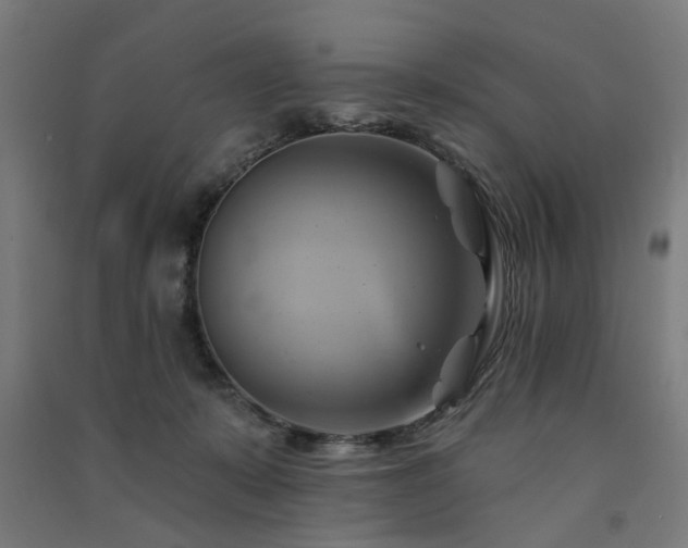 X0000091590319200708201235