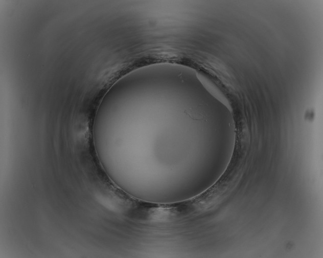 X0000091590320200708201235
