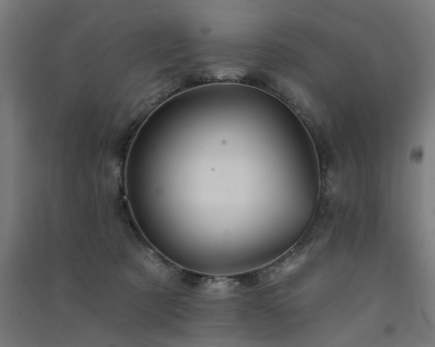 X0000091590321200708201235
