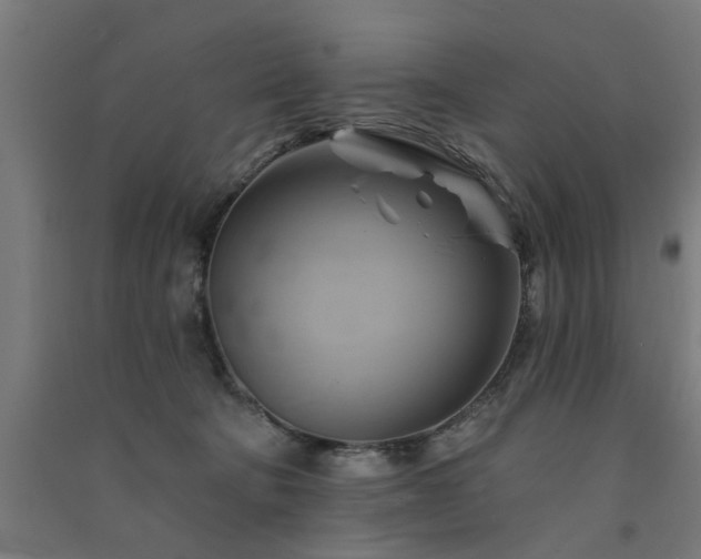 X0000091590322200708201235