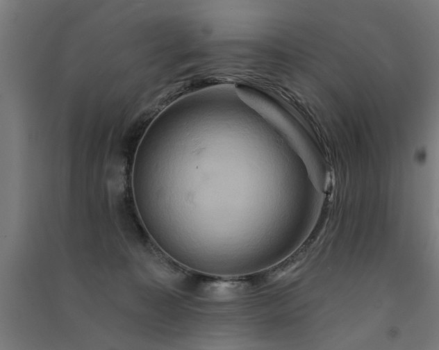 X0000091590323200708201235