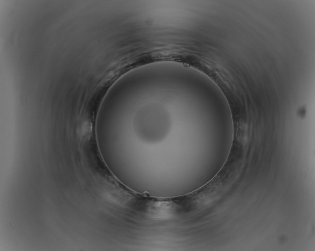 X0000091590324200708201235