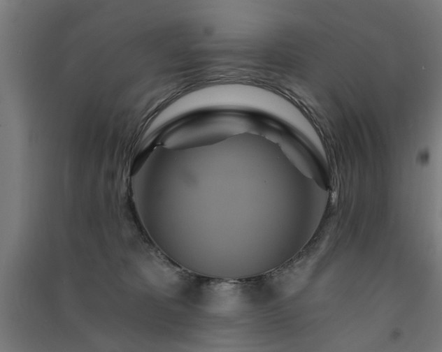 X0000091590325200708201235