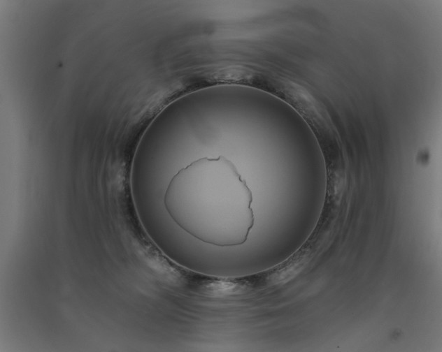 X0000091590326200708201235