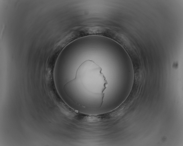X0000091590327200708201235