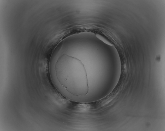 X0000091590328200708201235