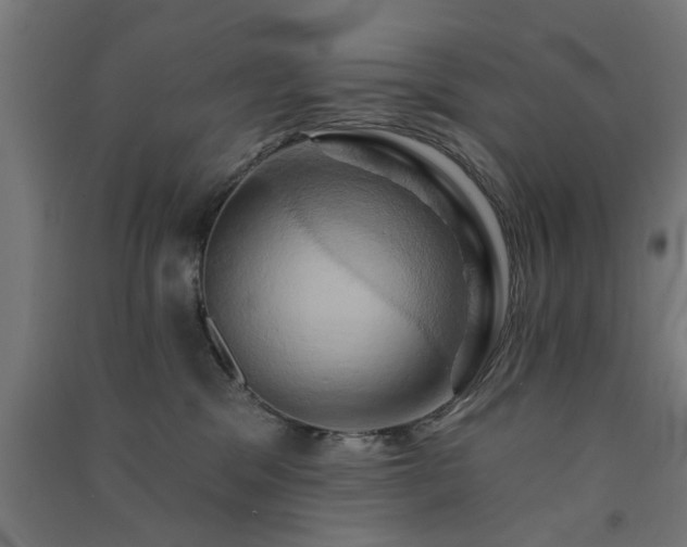 X0000091590329200708201235