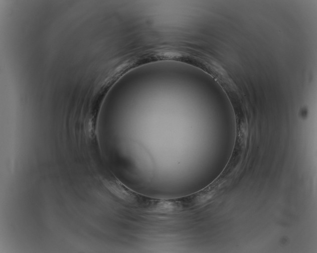 X0000091590330200708201235