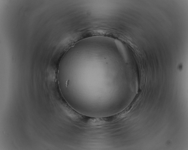 X0000091590331200708201235