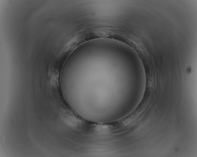 X0000091590332200708201235