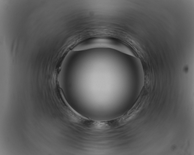 X0000091590333200708201235