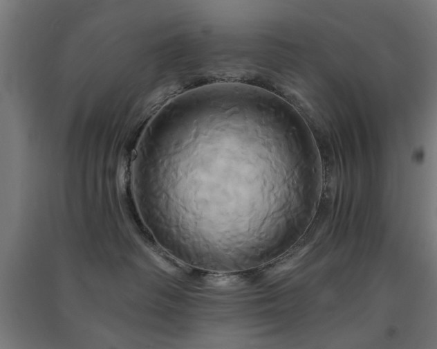 X0000091590334200708201235