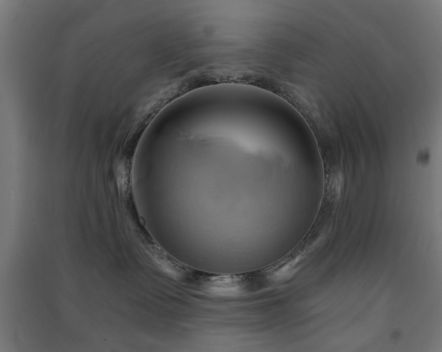X0000091590335200708201235