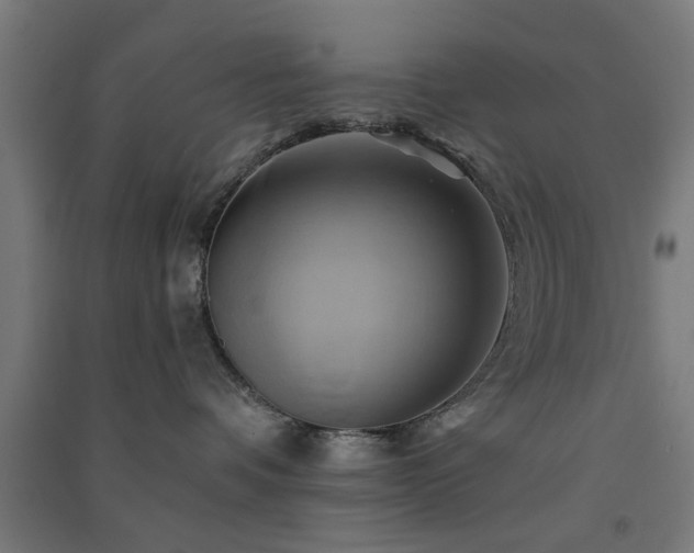 X0000091590336200708201235