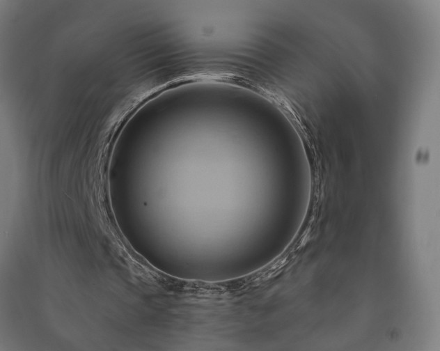X0000091590337200708201234