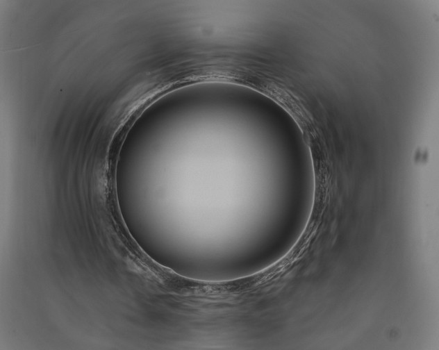 X0000091590338200708201234