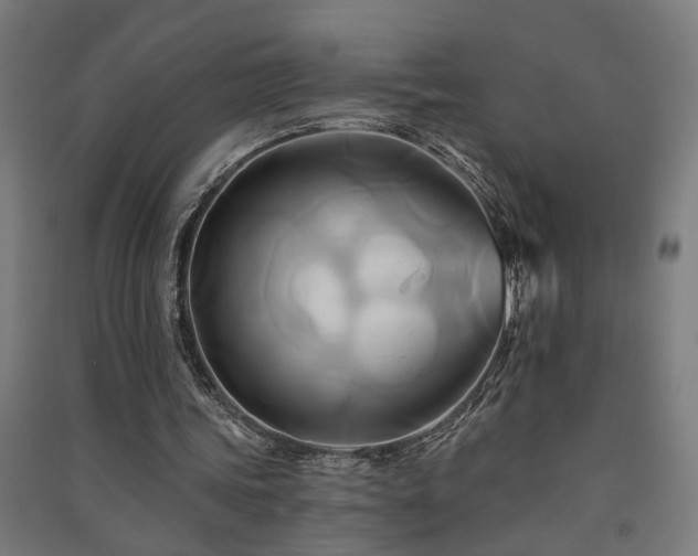 X0000091590339200708201234