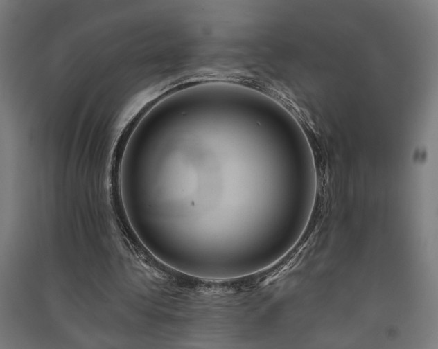 X0000091590340200708201234