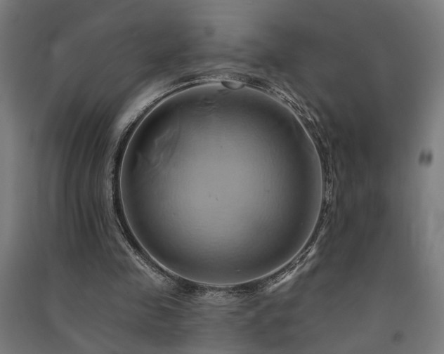 X0000091590341200708201234