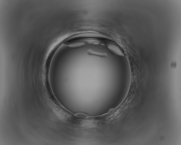 X0000091590342200708201234