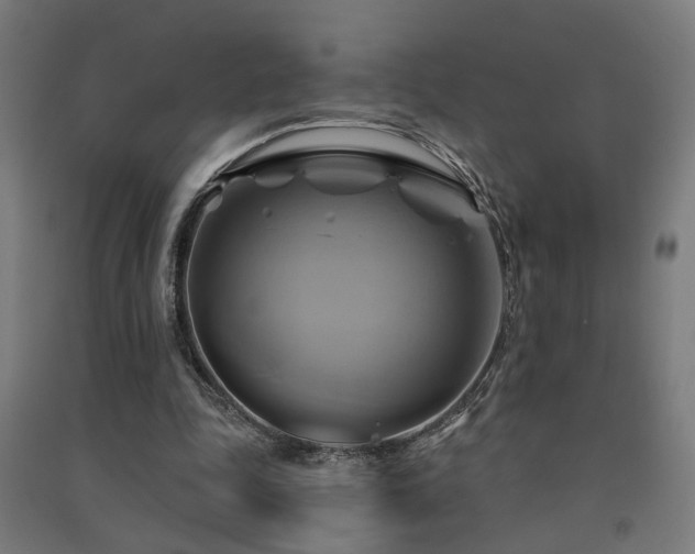 X0000091590343200708201234