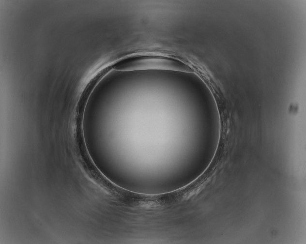 X0000091590344200708201234
