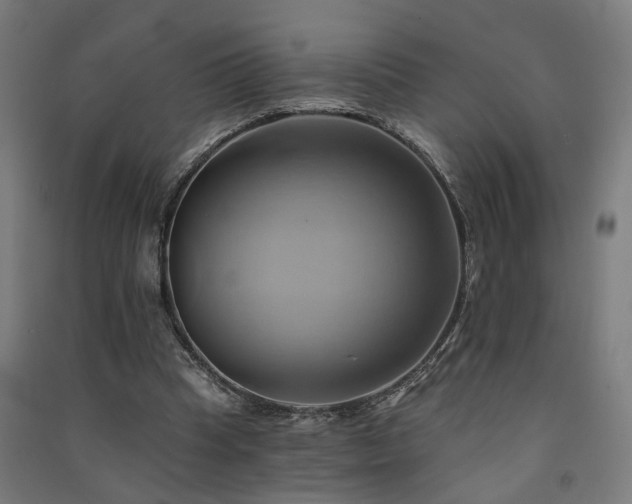 X0000091590345200708201234
