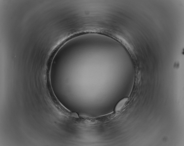 X0000091590346200708201234