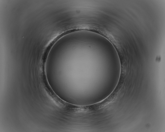 X0000091590347200708201234