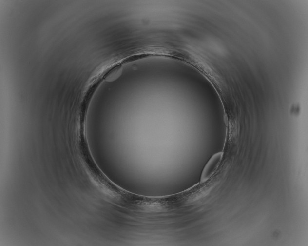 X0000091590349200708201234