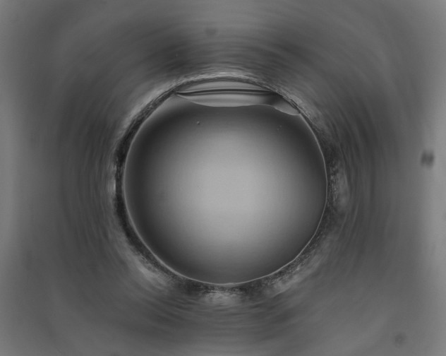 X0000091590350200708201234