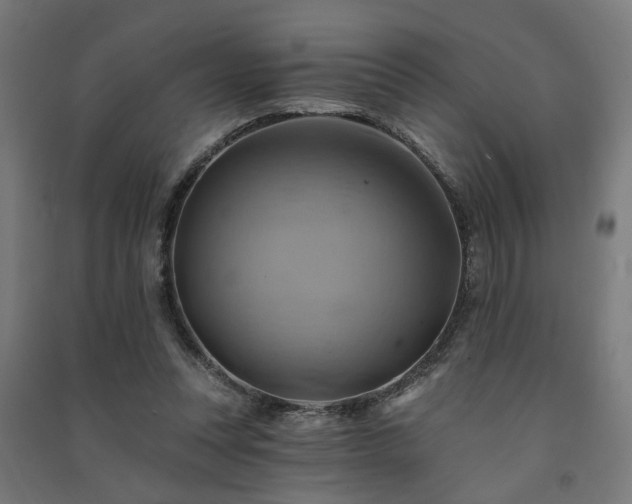 X0000091590351200708201235