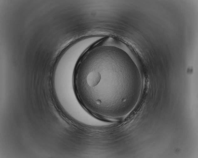 X0000091590352200708201235