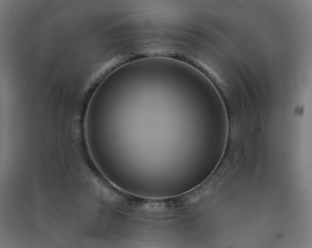X0000091590353200708201235