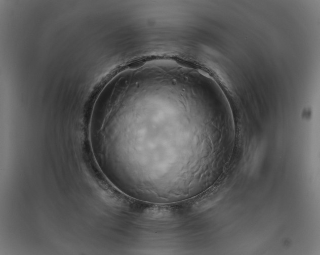 X0000091590354200708201235
