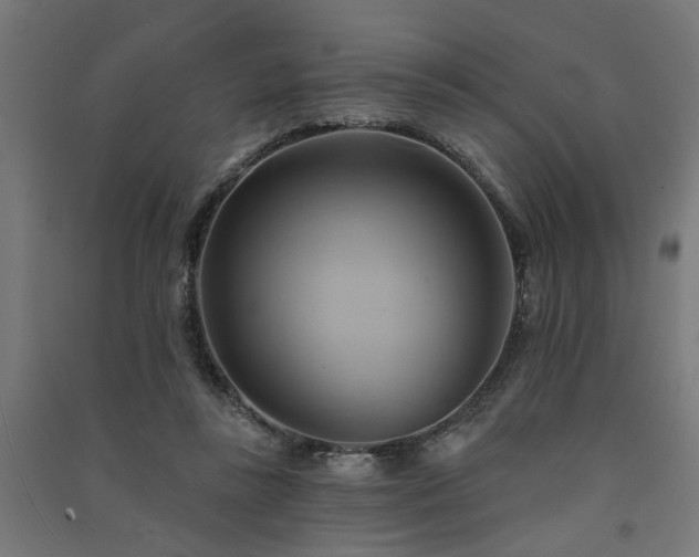 X0000091590355200708201235