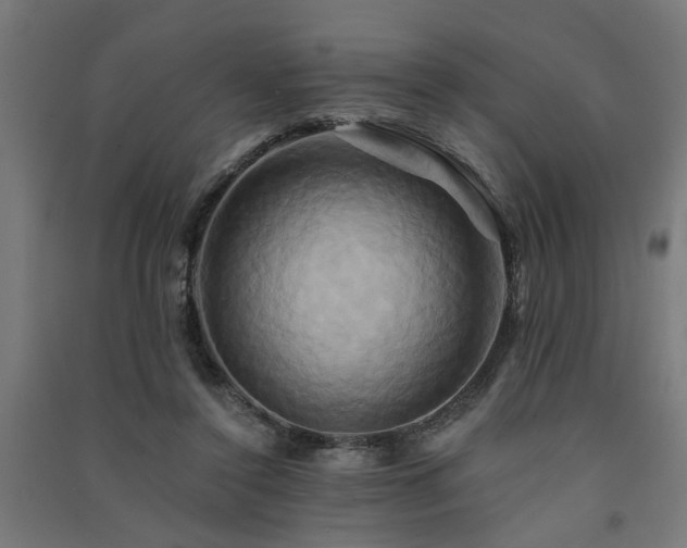 X0000091590356200708201235