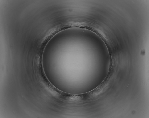 X0000091590357200708201235
