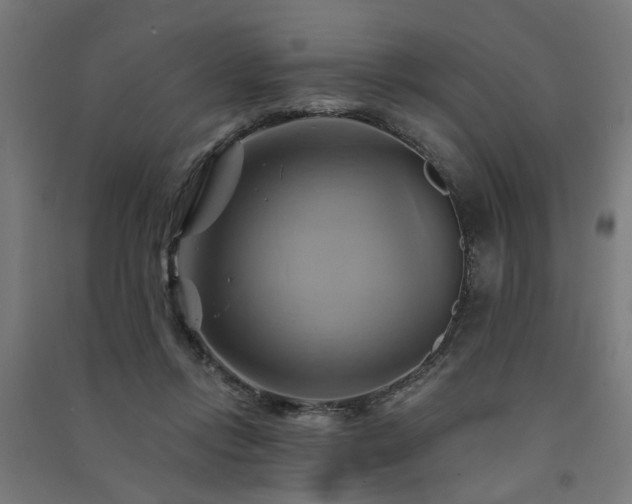 X0000091590358200708201235